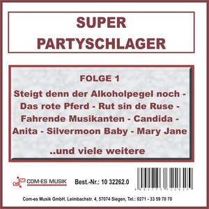 Fahrende Musikanten (Re-Recording)