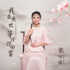 我在来世等待你回首 (DJ沈念版)