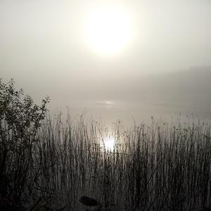 Dimmig morgon