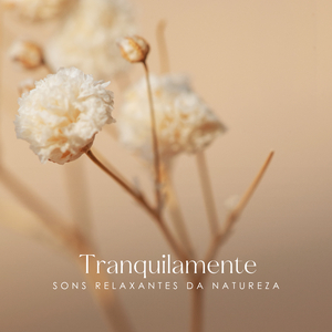 Encontre o Seu Equilíbrio