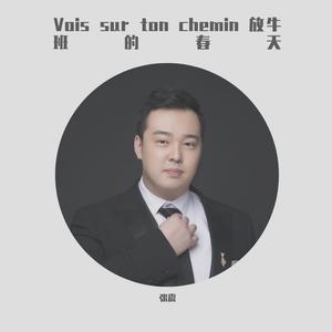 Vois sur ton chemin 放牛班的春天