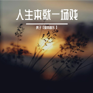 人生本就一场戏