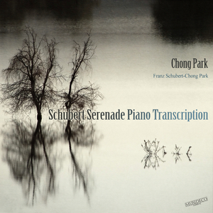 Schubert Serenade Piano Transcription