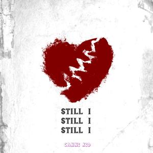 我还 STILL I
