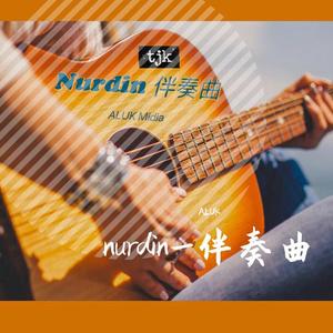 nurdin_（4）