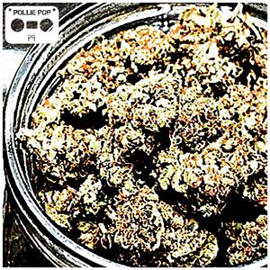 Fiz U (Solo) #Screwed