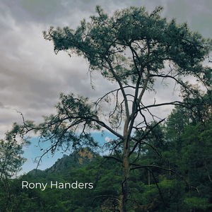 Point of Immutability