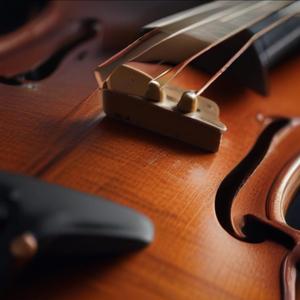 Amber Breath of Violin