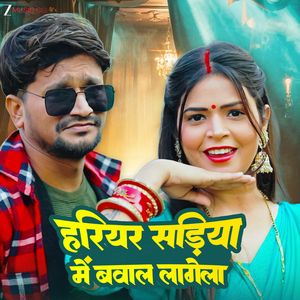 Hariyar Sadiya Me Bawal Lagela