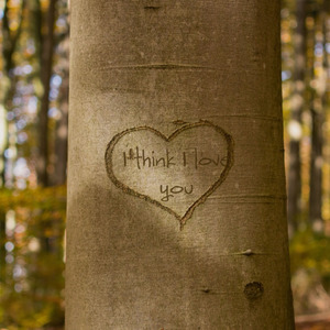 Spring Of Everything