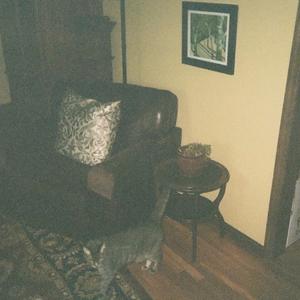 circadian