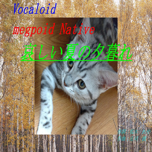 哀しい夏の夕暮れ