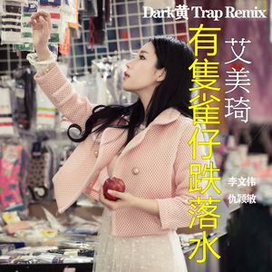 有只雀仔跌落水 (Dark黄 Trap Remix)