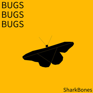 gnats