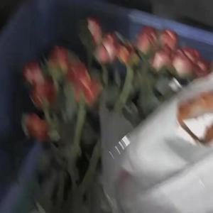 写给未来女友的歌（Prod.Gr33nart Beats）