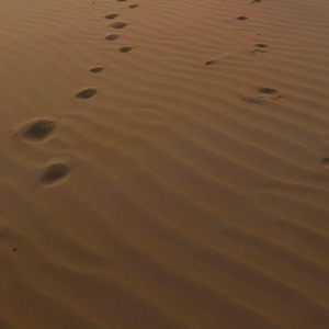 Melintasi Gurun Menapaki Jejak Nabi