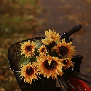 Casablanca(卡萨布兰卡)钢琴版