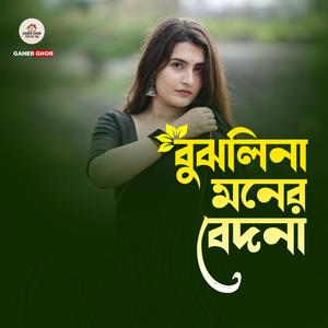 বুঝলি না মনের বেদনা