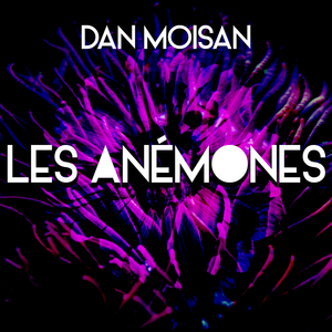 LES ANÉMONES