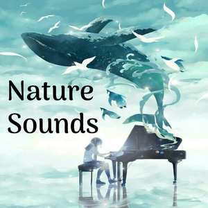 Limpar Energias Negativas