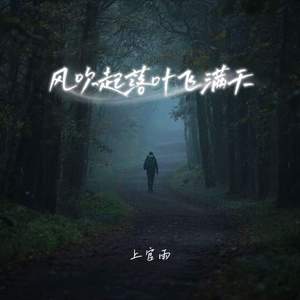 风吹起落叶飞满天