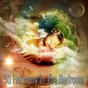 通過寧靜尋找睡眠