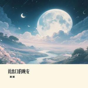 说出口的晚安
