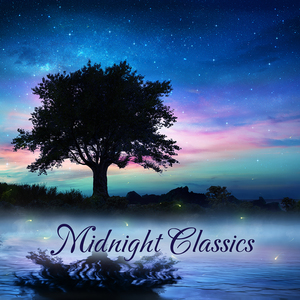 바흐 : 아리오소 - Orgel