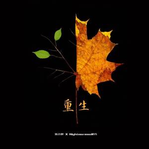 重生 Rebirth