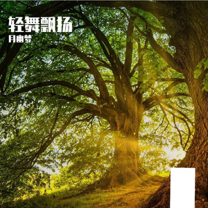 轻拂