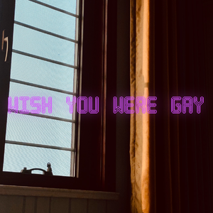 Billie Eilish-wish you were gay（syE_21 remix）