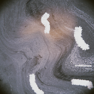 trebbiatura
