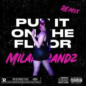Put It On Da Floor (Remix)