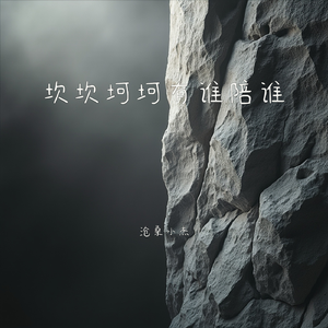 坎坎坷坷有谁陪谁