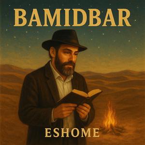 Desert fire (Bamidbar)