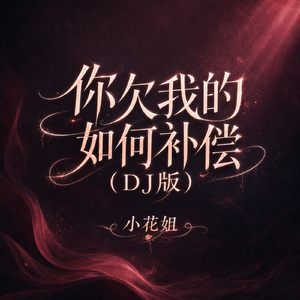 你欠我的如何补偿(DJ版)