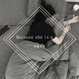 qzc-独特的猪（qzc remix）