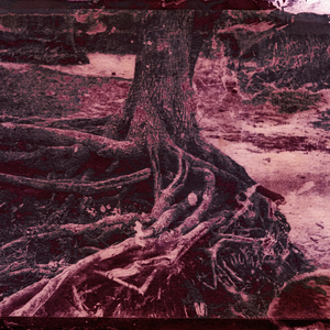 Воспоминания