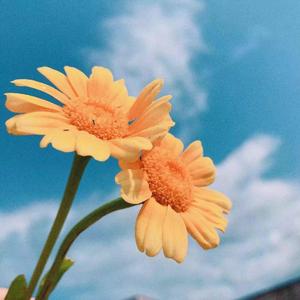 《梦一场》（翻自 那英）