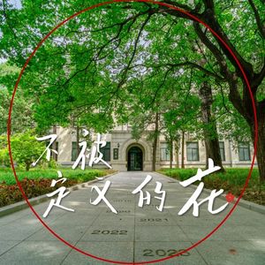 不被定义的花 伴奏