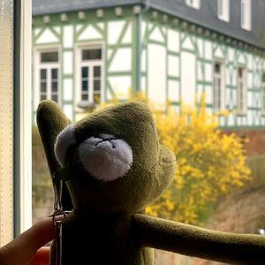 不万能风（翻自 回春丹）