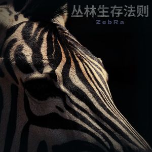 丛林生存法则