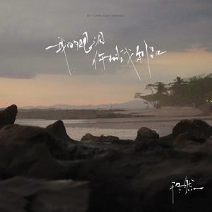 我的眼泪你的战利品 (DJ沈念版)