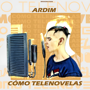 Como Telenovelas