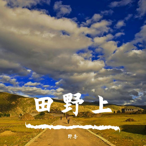 田野上