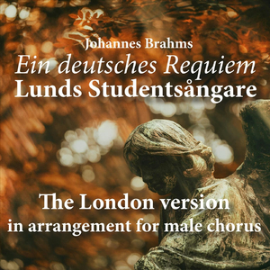 Brahms: Ein deutsches Requiem, Op. 45: I. Selig sind die da Leid tragen (feat. Christian Schultze, Bengt Forsberg & Markus Kvint)