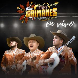 En el coleadero (En vivo)