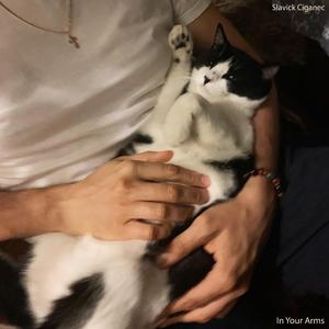 All You Need Is Just A Cup Of Tea