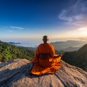 Inmovilidad Y Silencio