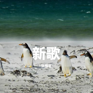 想你的雨季 伴奏